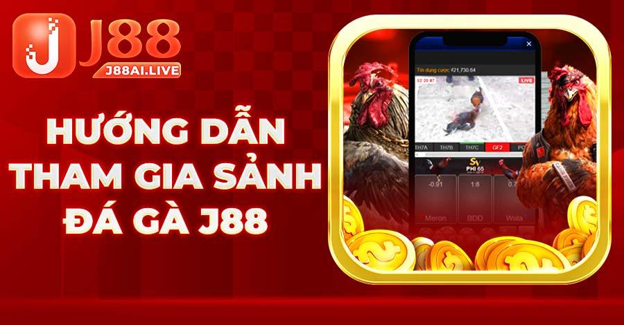 Hướng dẫn tham gia sảnh Đá Gà J88 cho người mới 